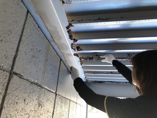 知多市梅が丘　外壁屋根塗装工事　着工 (2)
